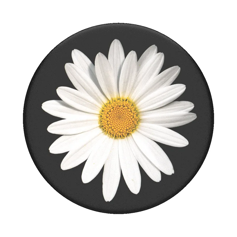 PopGrip Universal Grip (Gen2) Holder - White Daisy