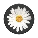 PopGrip Universal Grip (Gen2) Holder - White Daisy