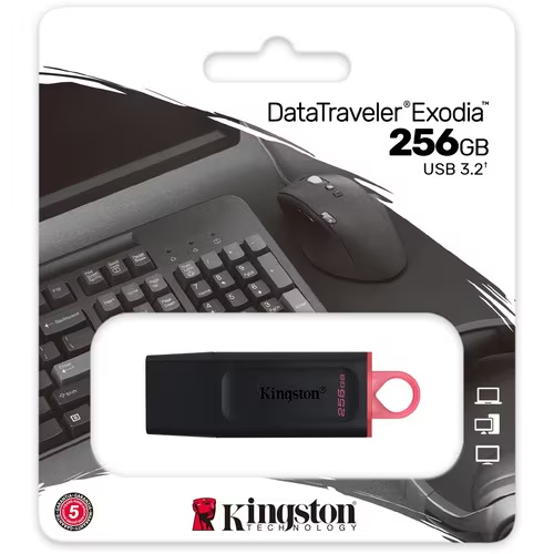 [DTX/256GB] Kingston DataTraveler 256GB USB 3.2 Drive - Black/Pink